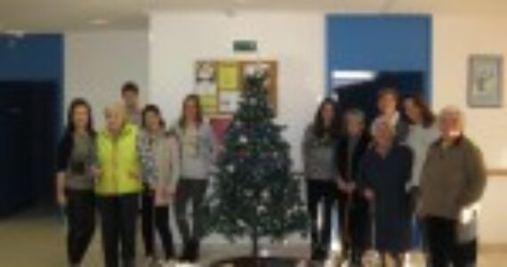 BOŽIĆNI I NOVOGODIŠNJI BLAGDANI U DOMU